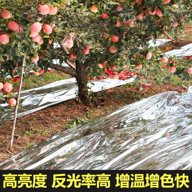 泰州市地膜果树反光膜 - 哪里好